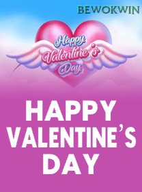 Happy Valentines Day game cover